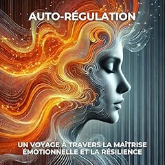 Auto régulation voyage d'occasion  Livré partout en France