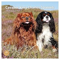 2024 cavalier king for sale  Delivered anywhere in USA 