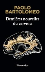 Dernières nouvelles cerveau d'occasion  Livré partout en France