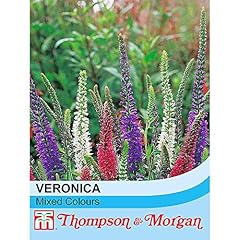 Veronica packet for sale  Delivered anywhere in UK