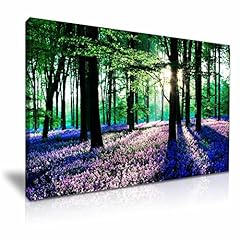 Bluebells forest tree for sale  Delivered anywhere in UK