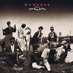 Rise fall vinyl for sale  Delivered anywhere in UK