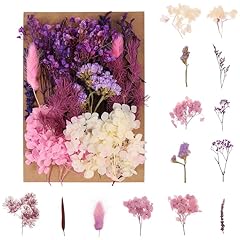 Halinuia bouquet fleurs d'occasion  Livré partout en France