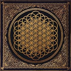 Sempiternal vinyl lp gebraucht kaufen  Wird an jeden Ort in Deutschland