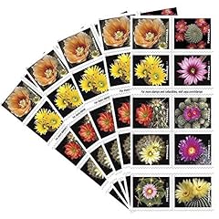 Cactus flowers books for sale  Delivered anywhere in USA 