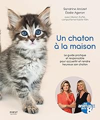 Chaton maison animaux d'occasion  Livré partout en France