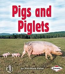 Pigs piglets for sale  Delivered anywhere in USA 