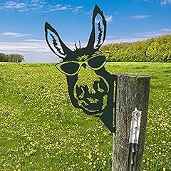 Ccworan metal donkey for sale  Delivered anywhere in UK