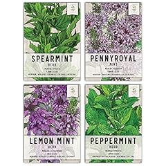 Seed needs mint for sale  Delivered anywhere in USA 