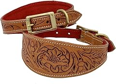 saluki dog collars for sale  Delivered anywhere in UK