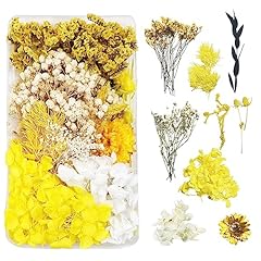 Fleurs séchées naturelles d'occasion  Livré partout en France