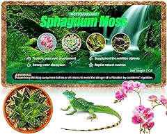 Sphagnum moss orchids for sale  Delivered anywhere in USA 