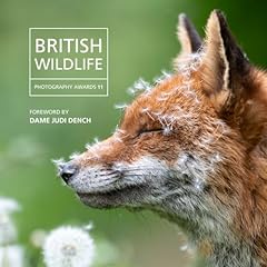 British wildlife photography for sale  Delivered anywhere in UK