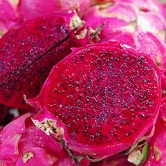 Red dragon fruit for sale  Delivered anywhere in USA 
