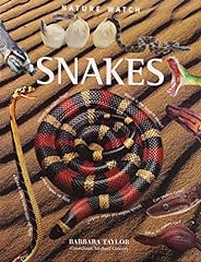 Snakes for sale  Delivered anywhere in USA 