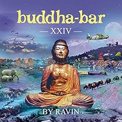 Hindi dub gebraucht kaufen  Wird an jeden Ort in Deutschland