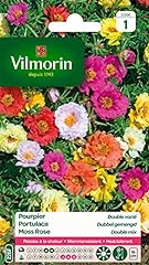 Vilmorin 5633441 pourpier d'occasion  Livré partout en Belgiqu