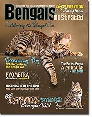 Bengals illustrated celebratin for sale  Delivered anywhere in USA 
