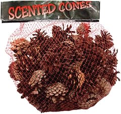 Winter woods cinnamon for sale  Delivered anywhere in USA 