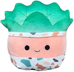 Squishmallows kellytoy succule for sale  Delivered anywhere in UK