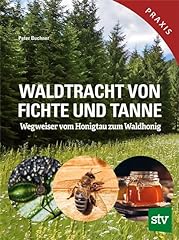 Waldtracht fichte tanne gebraucht kaufen  Wird an jeden Ort in Deutschland