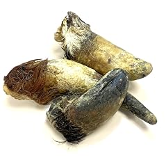 Bulls horns extra for sale  Delivered anywhere in UK
