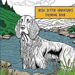 Irish setter adventures for sale  Delivered anywhere in USA 