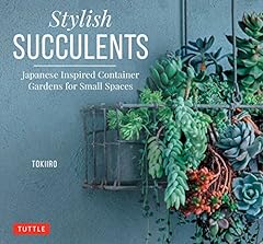 Stylish succulents japanese for sale  Delivered anywhere in USA 