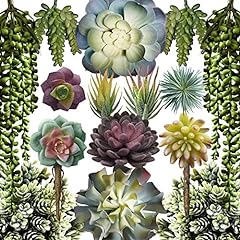 Caqpo artificial succulents for sale  Delivered anywhere in USA 