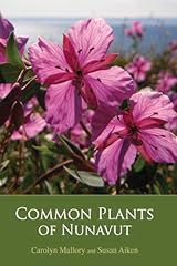 Common plants nunavut gebraucht kaufen  Wird an jeden Ort in Deutschland