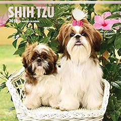 Shih tzu 2018 d'occasion  Livré partout en France