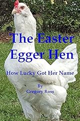 Easter egger hen for sale  Delivered anywhere in USA 