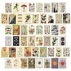 Saishuo wall collage for sale  Delivered anywhere in USA 