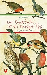 Buchfink schräger typ gebraucht kaufen  Wird an jeden Ort in Deutschland