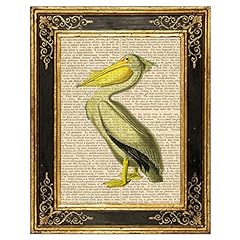 John audubon american for sale  Delivered anywhere in USA 