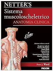 Netter sistema muscoloscheletr usato  Spedito ovunque in Italia 