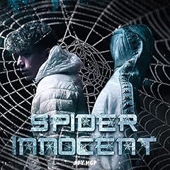 Spider innocent usato  Spedito ovunque in Italia 