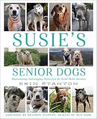 Susie senior dogs for sale  Delivered anywhere in USA 