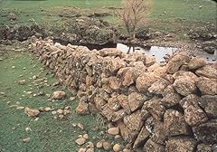 Historic chinese rock for sale  Delivered anywhere in USA 