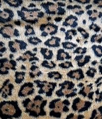 Faux fur animal for sale  Delivered anywhere in USA 