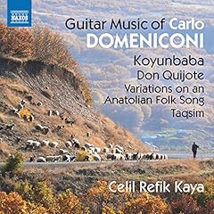 Carlo domeniconi guitar for sale  Delivered anywhere in UK