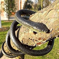 Lanting serpent caoutchouc d'occasion  Livré partout en France