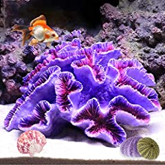 Besimple aquarium coral for sale  Delivered anywhere in USA 