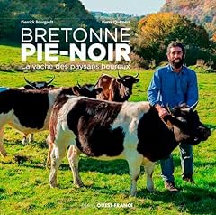 vache bretonne pie noire occasion d'occasion  Livré partout en France