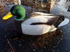 Drake mallard full for sale  Delivered anywhere in USA 
