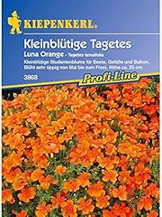 Tagetes tenuifolia luna gebraucht kaufen  Wird an jeden Ort in Deutschland