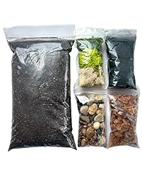 Succulent Cactus DIY Terrarium Kit - Great for Large for sale  Delivered anywhere in USA 
