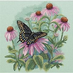 Dimensions butterfly daisies for sale  Delivered anywhere in USA 