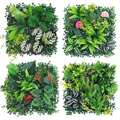Aqcqdq mur plantes d'occasion  Livré partout en France