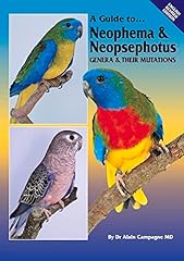 Guide neophema neopsephotus usato  Spedito ovunque in Italia 